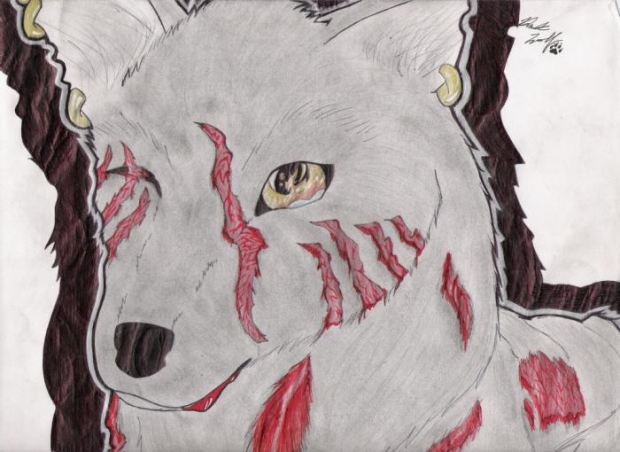 I've Lost Everything (wolf Form)