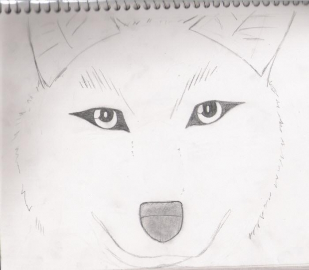 Random Wolf
