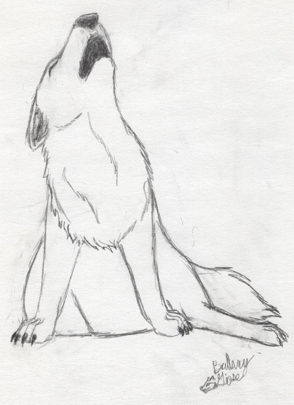 Requst For Songostears:young Howler