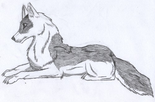 Tyke : Request For Physco