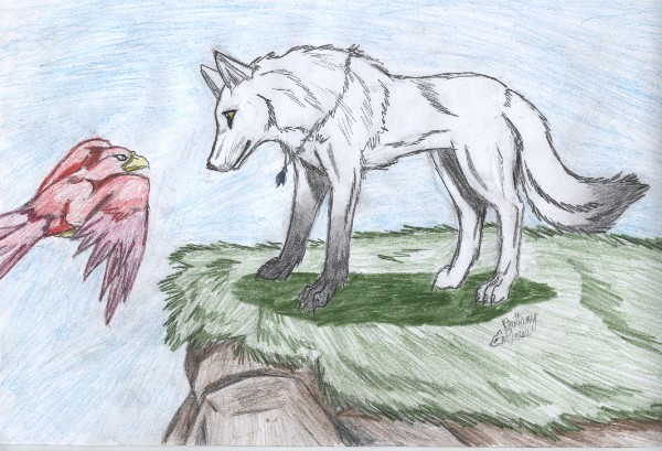 Request For Snowwhitewolf