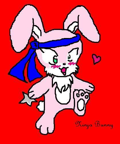 Ninja Bunny- Colored