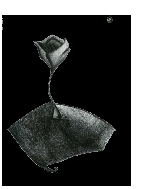 Dark-Matter and Moonflower