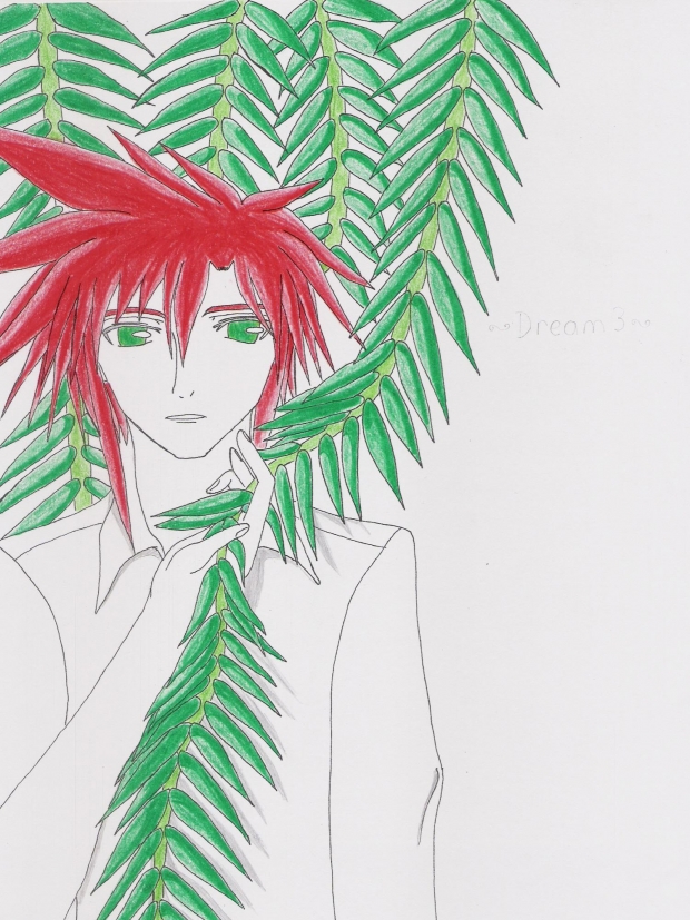 Under the Willow Tree