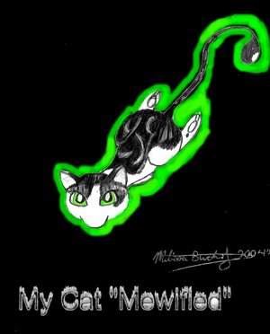 My Cat Mewified