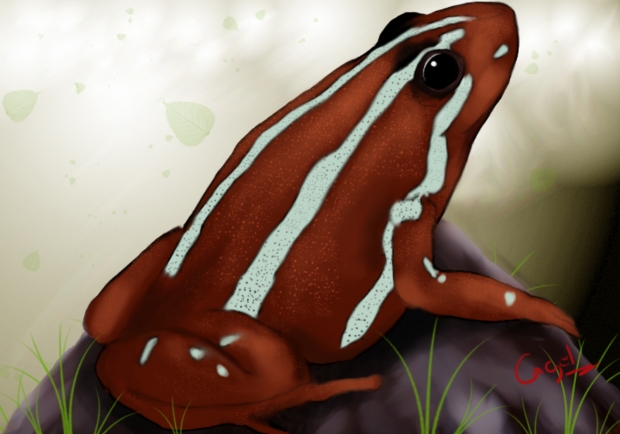 Phantasmal Poison Frog