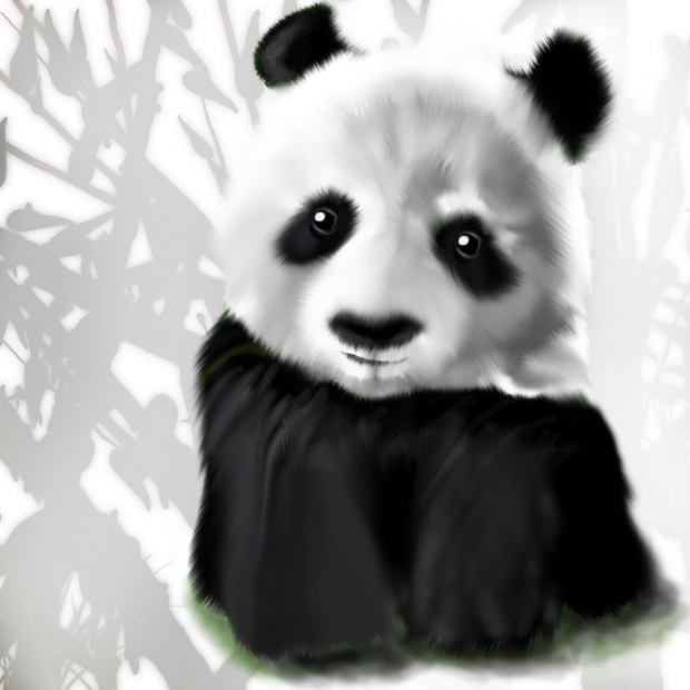True Baby Panda