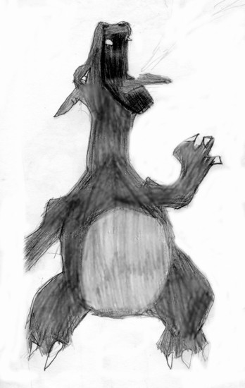 Koolest Charizard Eva