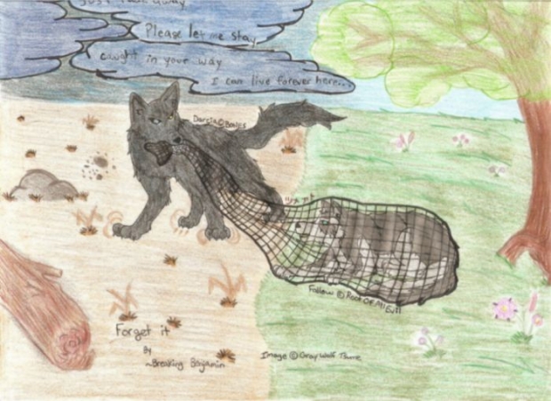 My Rootofallevil Contest Entry