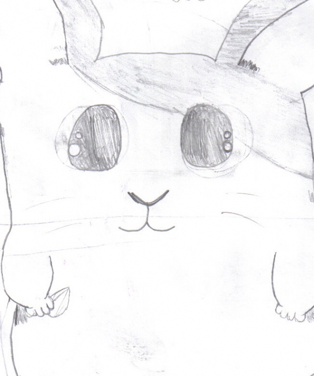 Hamtaro From The Old Storybook^^