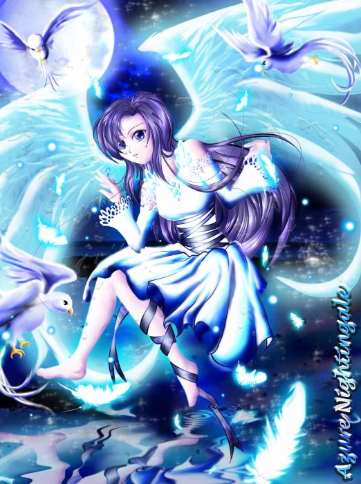 Blue Angel, River, Birds, Moonlight