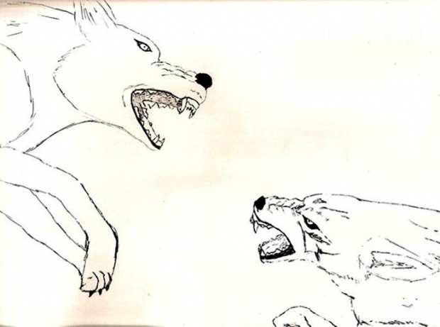Kiba And Darcia