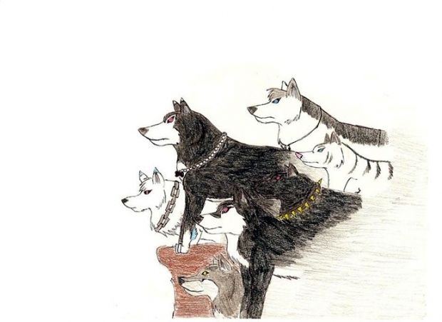 Where Is Our Paradise?