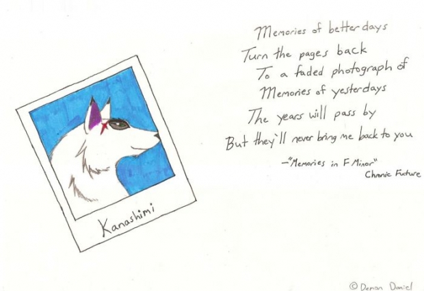 In Memory Of Kanashimi