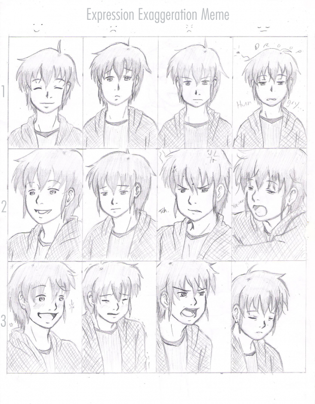 Expression Exaggeration Meme - Hikari