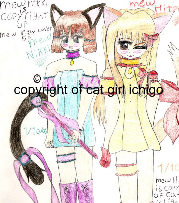 Surprise For Mew Mew Lover 55