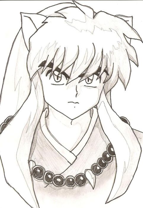 Close Up On Cuteness