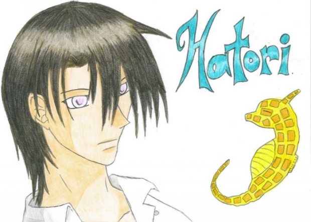 Hatori Colored