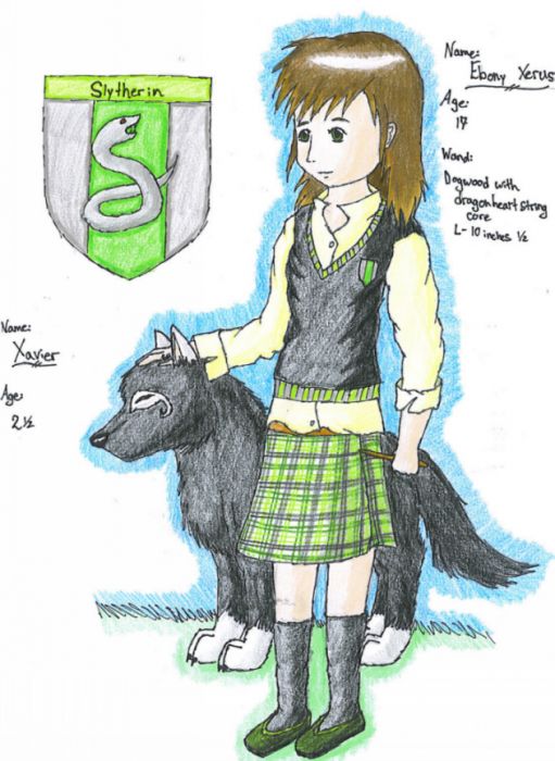 Riyu's Harry Potter Contest!