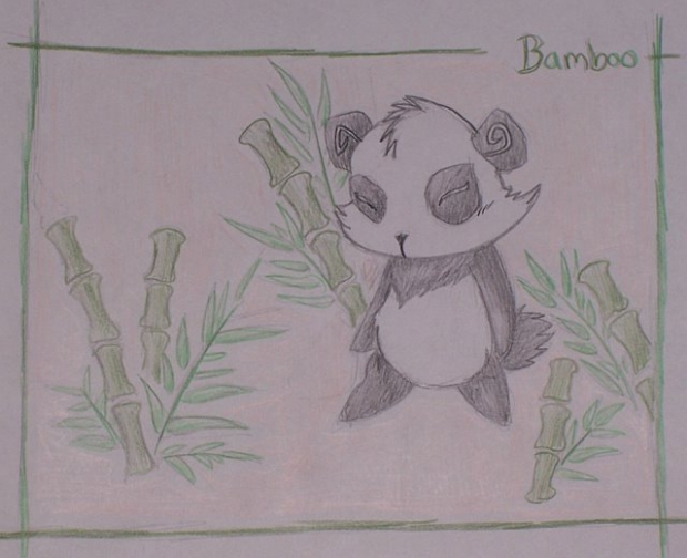 Bamboo