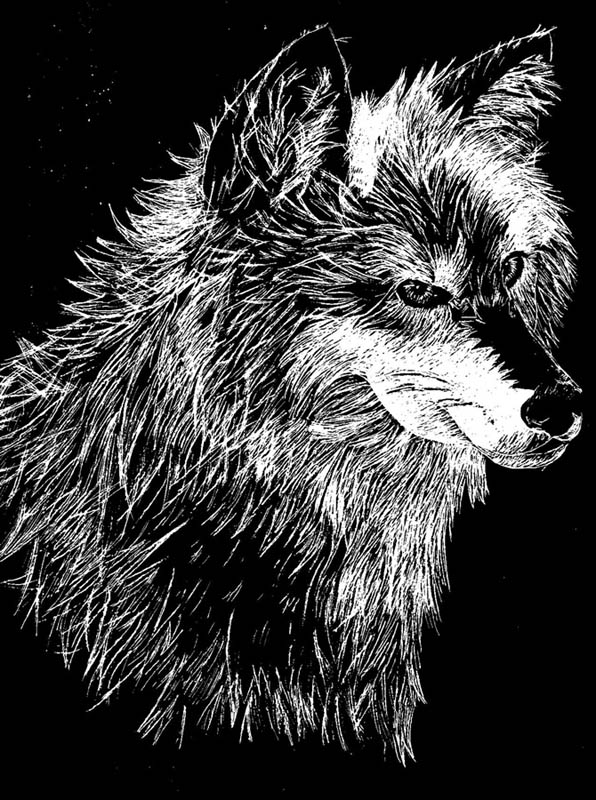 Wolfie ^.^