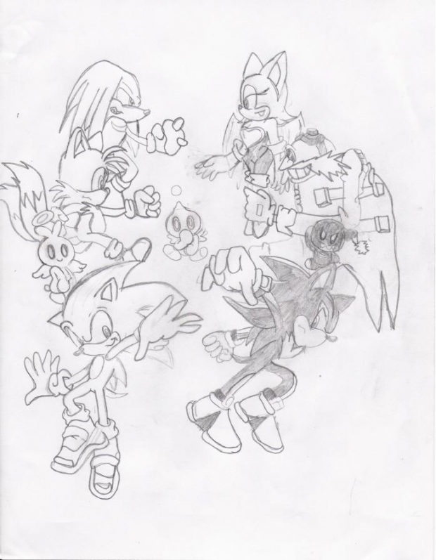 Team Sonic And Team Shadow
