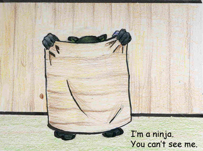 If I Were A Ninja....