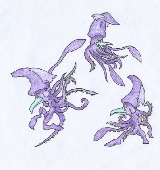 Squid Creature Studies