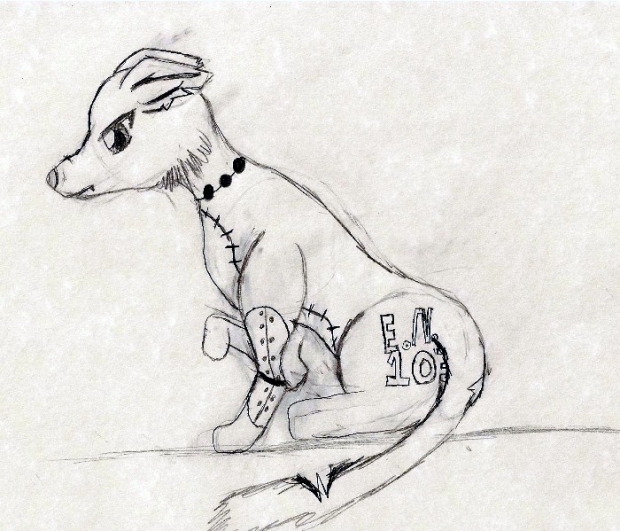 Experiment Number 103