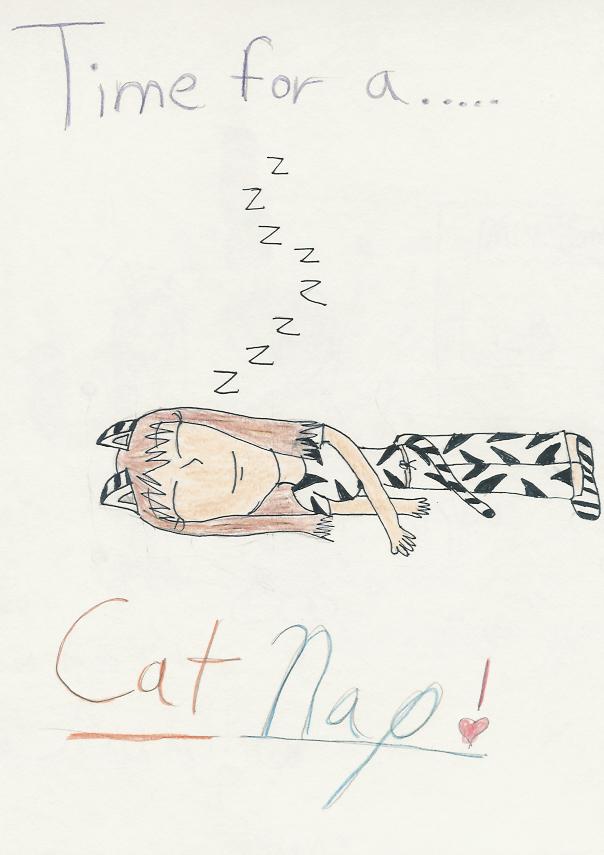 Cat Nap