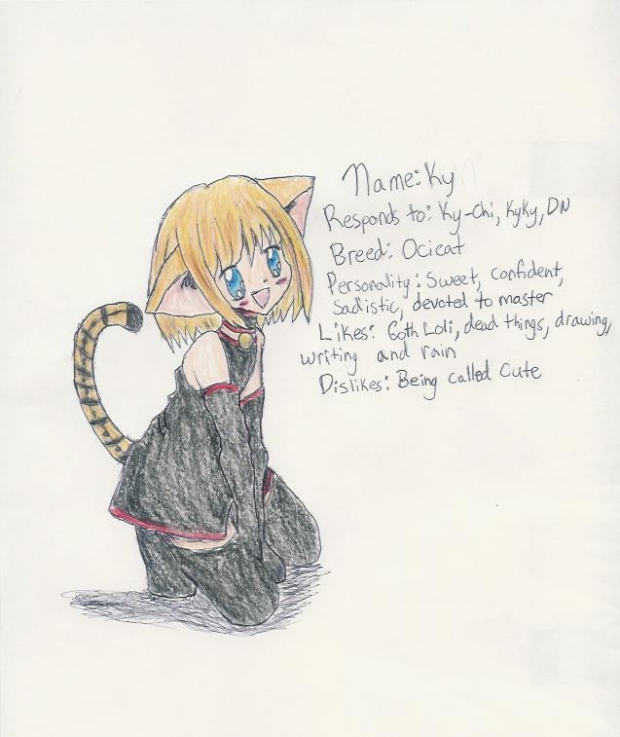 Code Name: Goth Kitty