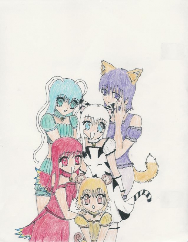 Tokyo Mew Mew: The Next Generation!