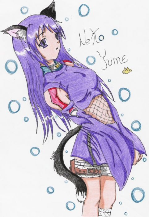 Aki Y's Contest: Neko Yume
