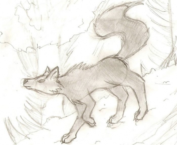 Maya,for Maya Ofthe Wolves