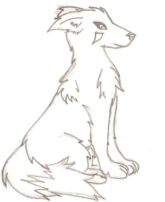 My Oc's Dog Since She Is A Inuzuka