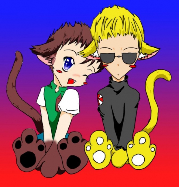 Chris Wesker Kitty Love