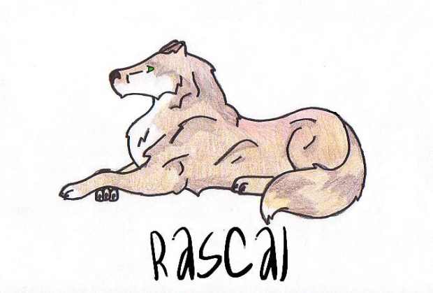 Lazy Rascal