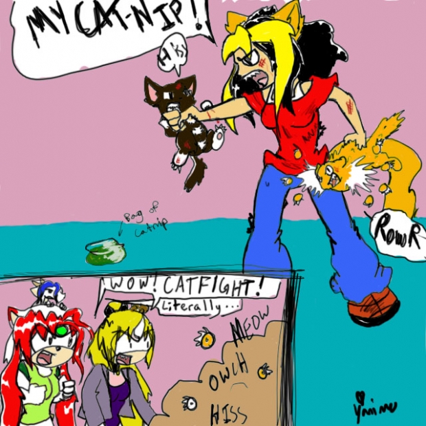 Battle For The Cat-nip!