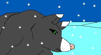 What Are You Looking For?