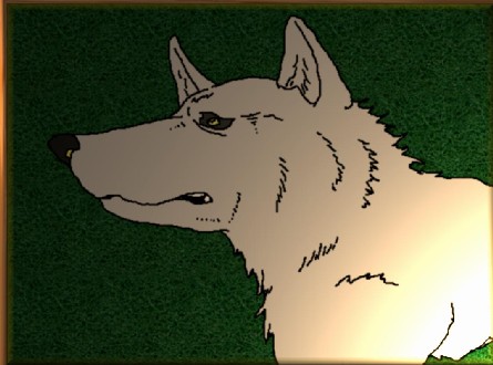 My Second White Wolf