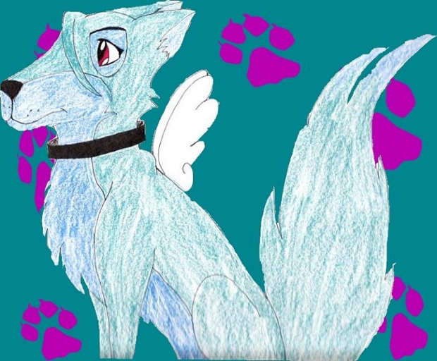 Kari The Wolf Spirit