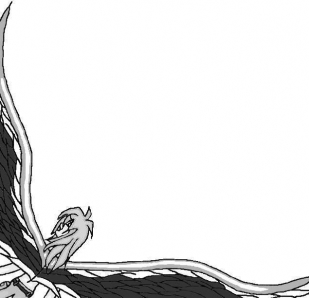 Ryou, Black And White Wings