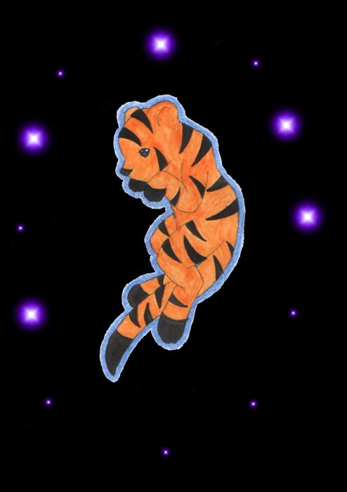 Zodiac : Tiger