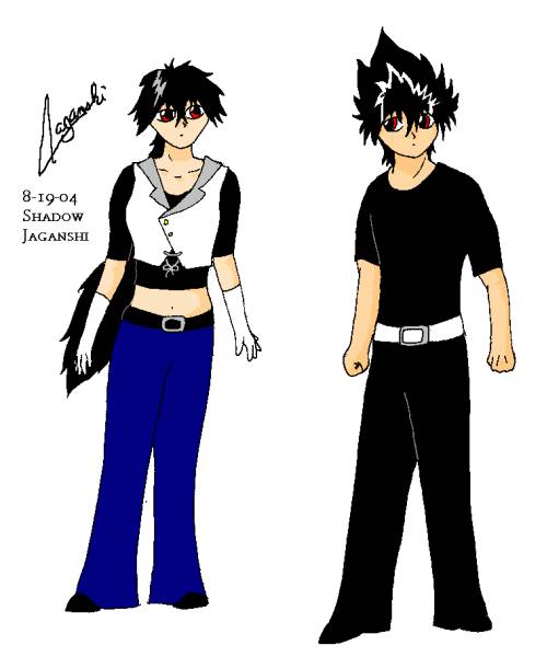 Hiei And Shadow