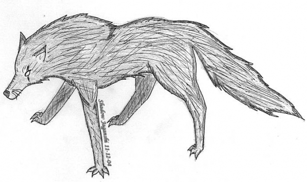 Scar-Eye Wolf