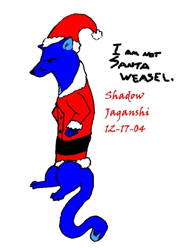 Santa Weasel?