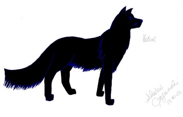 Kokuei - Side Profile