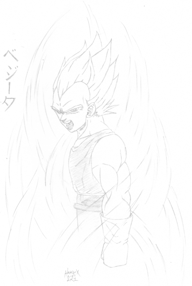 Vegeta's Fury