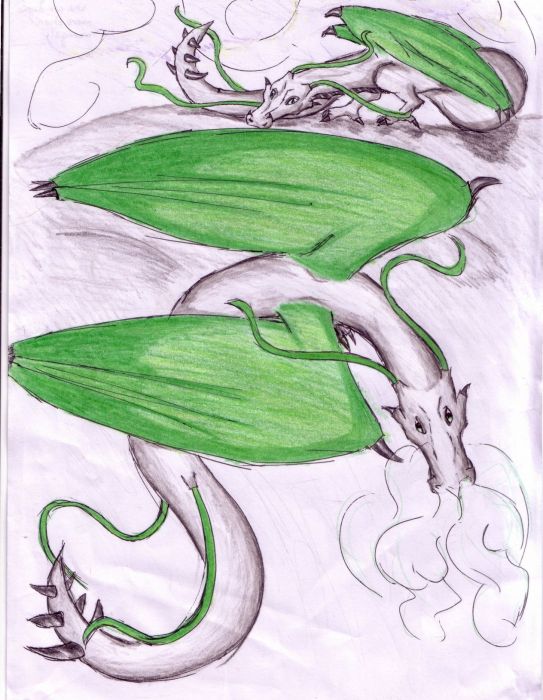 Slytherin Dragons