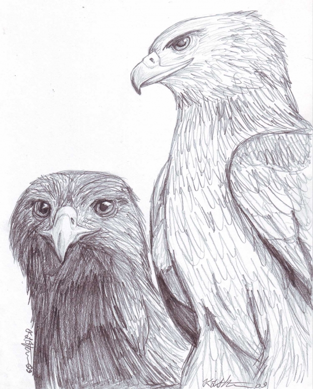Golden Eagles